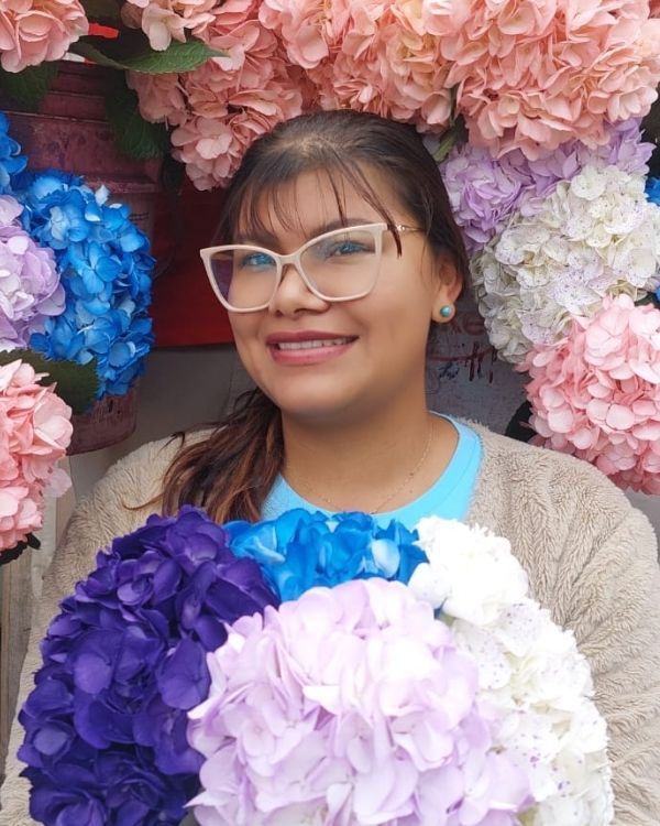 Cultivo de hortensias en Colombia